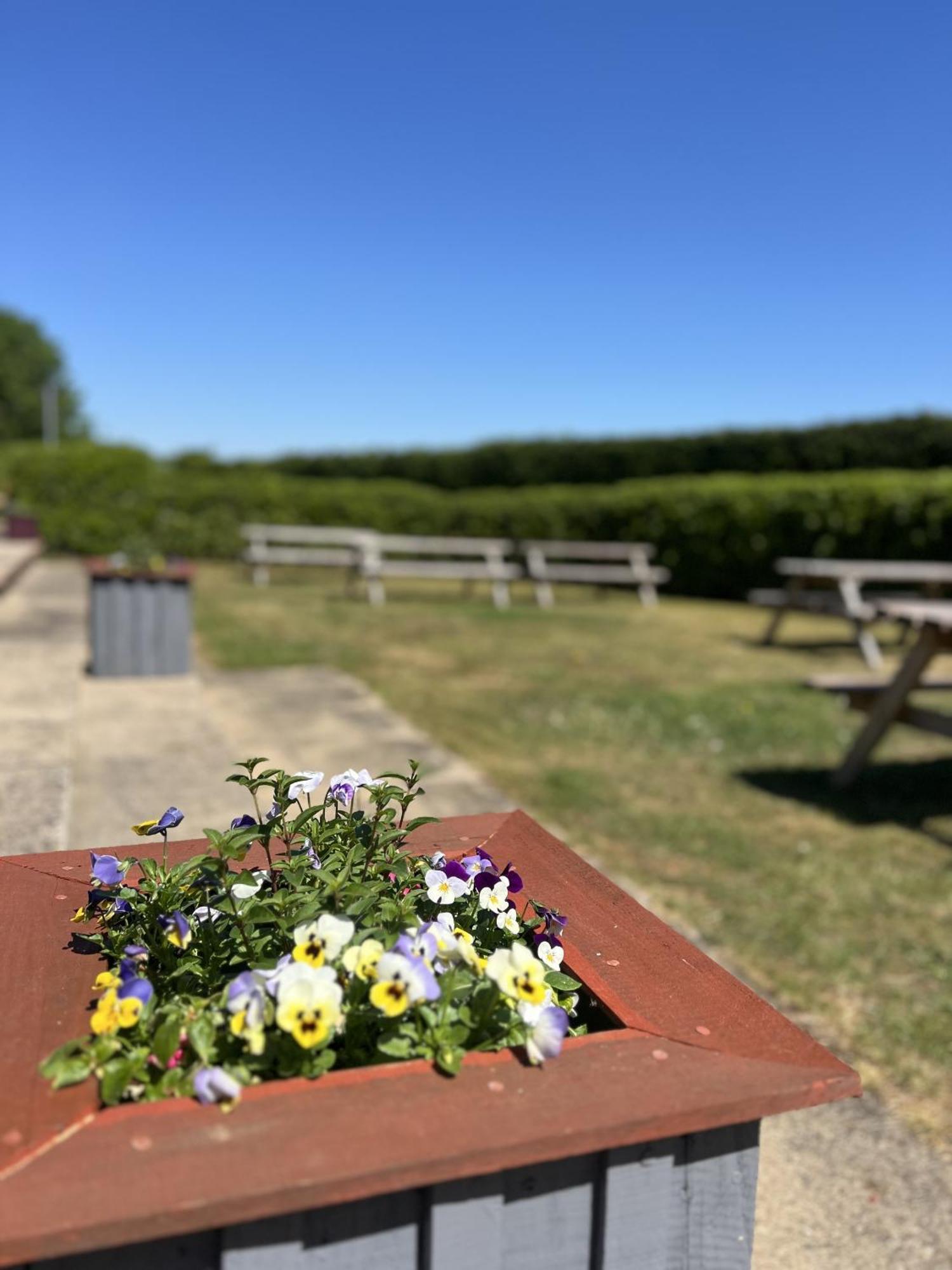 Hotel The Parson Woodforde Weston Longville Esterno foto